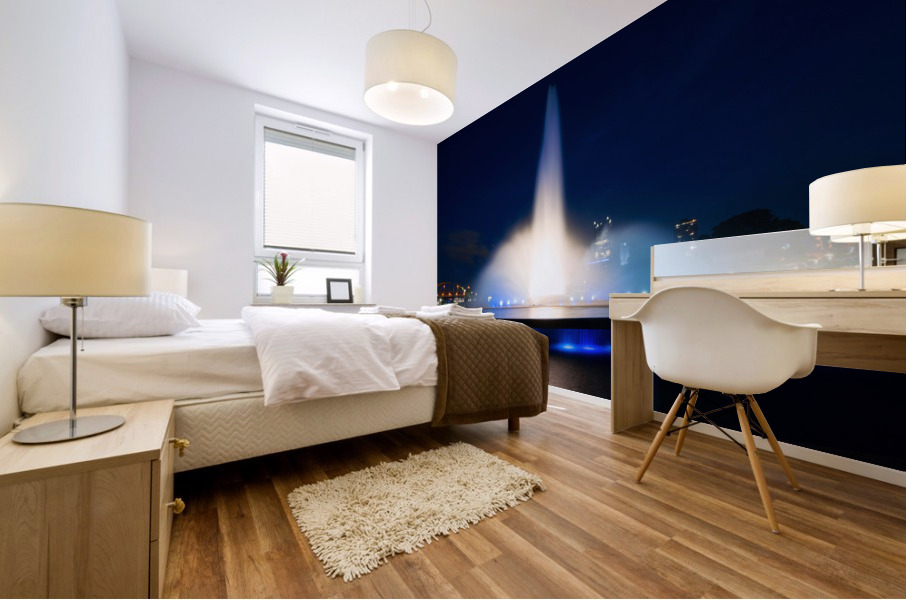 Point State Park Fountain in downtown Pittsburgh at night Mural print