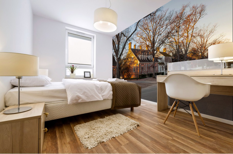 Old houses in Colonial Williamsburg Mural print