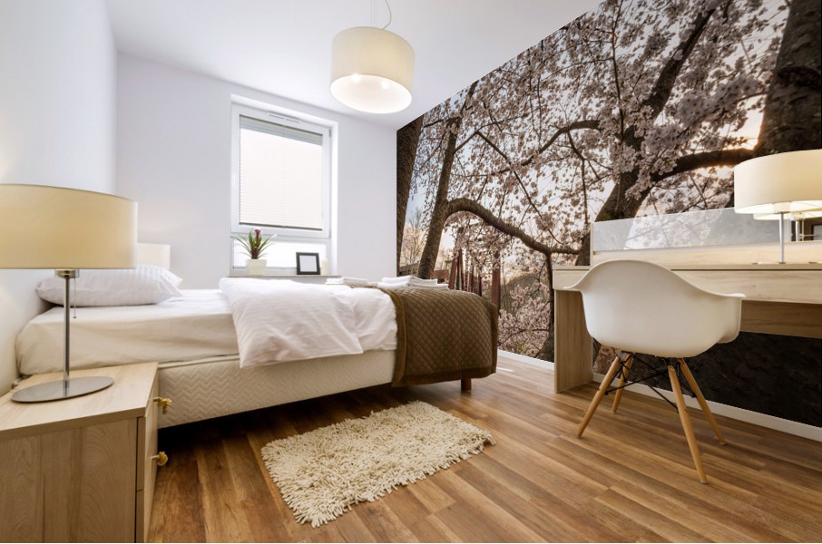 Steel girder bridge carries the bike walking trail over Deckers  Mural print