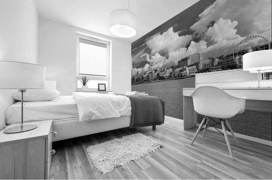 Dramatic monochrome panorama of National Harbor near Washington  Mural print