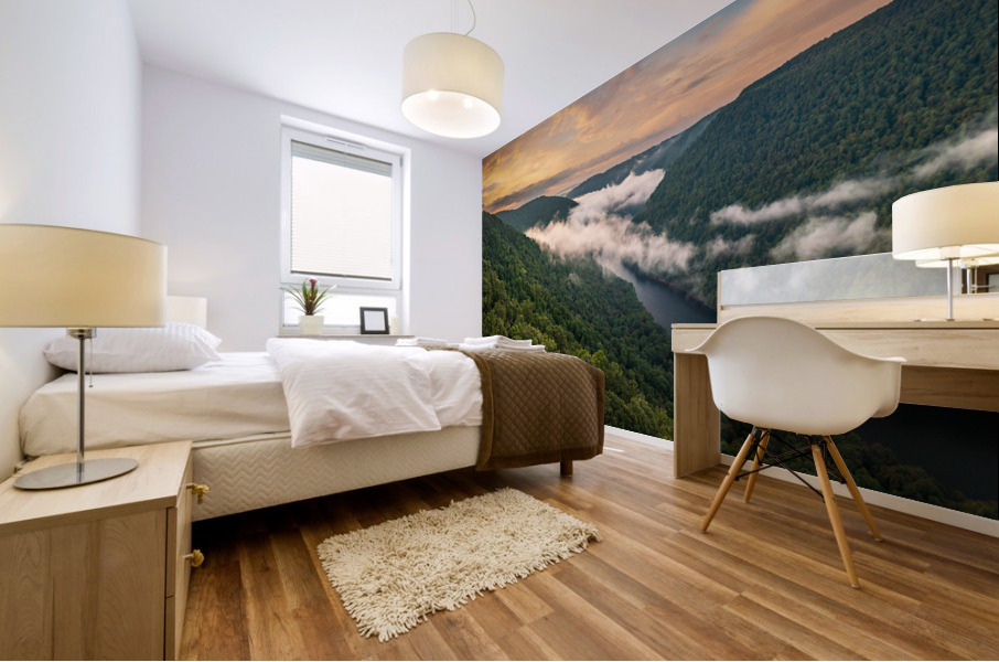 Mist swirling over Cheat River gorge at sunrise near Morgantown  Mural print