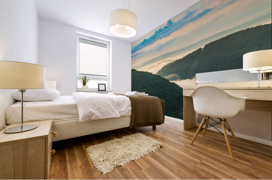 Mist swirling over Cheat River gorge at sunrise near Raven Rock Mural print