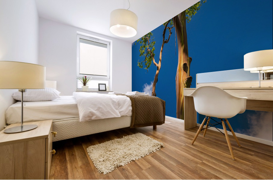 Branches of rainbow eucalyptus trees in Keahua Arboretum Mural print