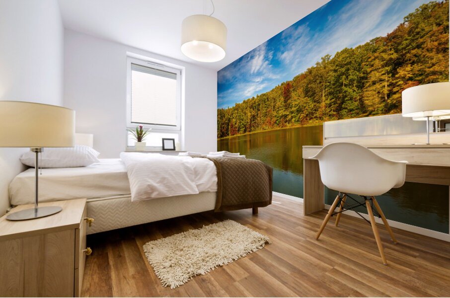 Fall leaves surround reservoir in Coopers Rock State Forest in W Mural print