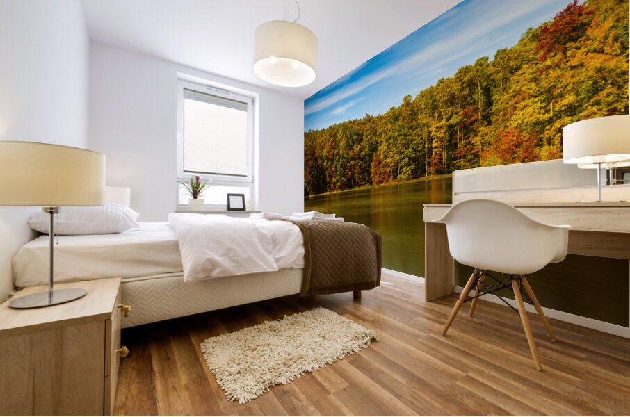 Fall leaves surround reservoir in Coopers Rock State Forest in W Mural print