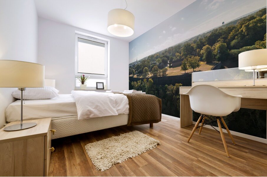 Townscape of Natchez in Mississippi with old mansion grounds Mural print