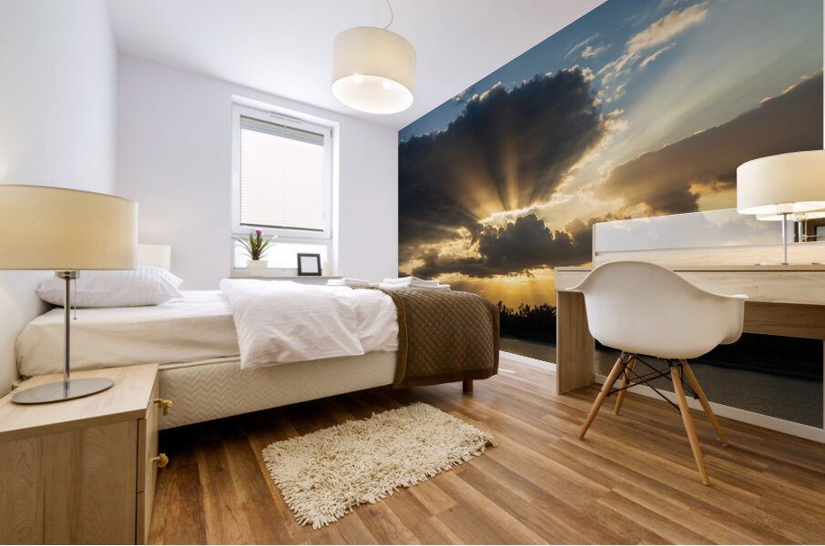 Sunset over the Mississippi river in Baton Rouge Louisiana Mural print