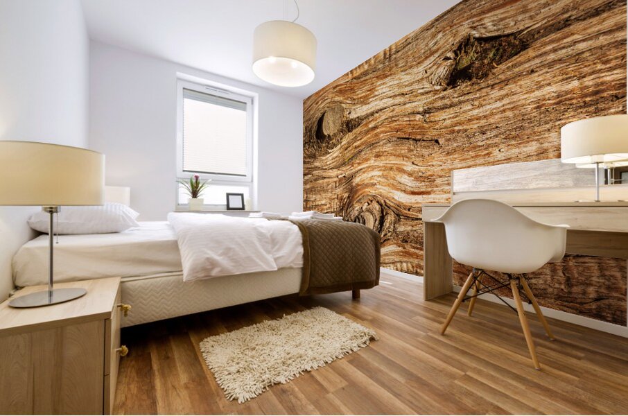 Background close up of cedar trunk bark Mural print