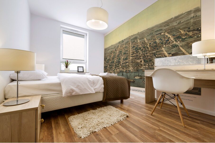 Restored birds eye view of street plan of Alexandria VA 1863 Mural print