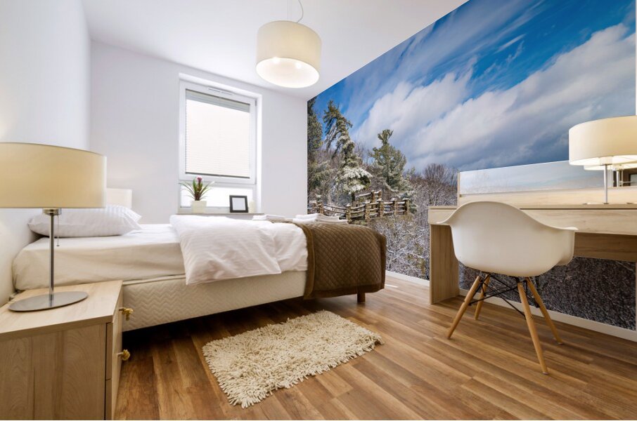 Coopers Rock overlook covered in winter snow near Morgantown Mural print