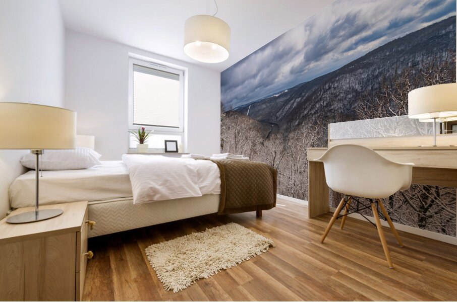 Snowy Cheat River Canyon at Coopers Rock on winter afternoon Mural print