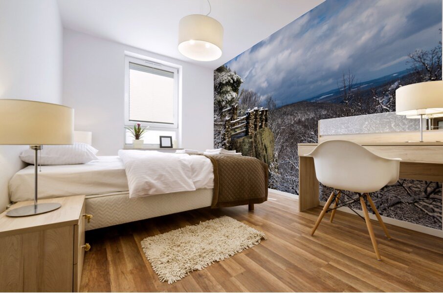 Coopers Rock overlook covered in winter snow near Morgantown Mural print