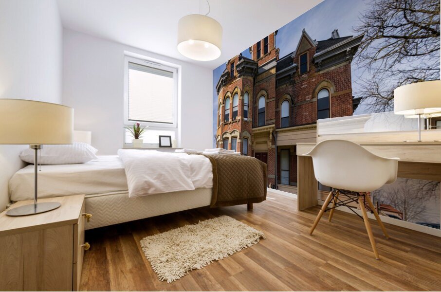 Facade of the historic Delaware County Sheriff home and jail Mural print