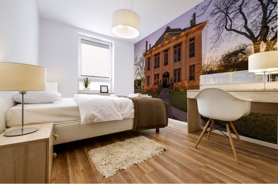 Christmas lights spectacular around courthouse in Johnson City  Mural print