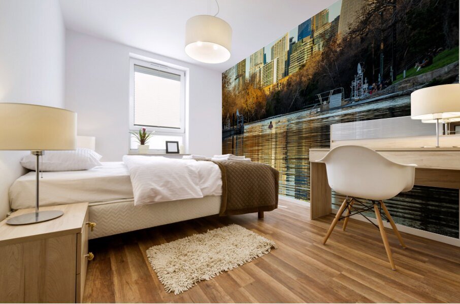 Cityscape of downtown Austin from Barton Springs Pool on New Yea Mural print