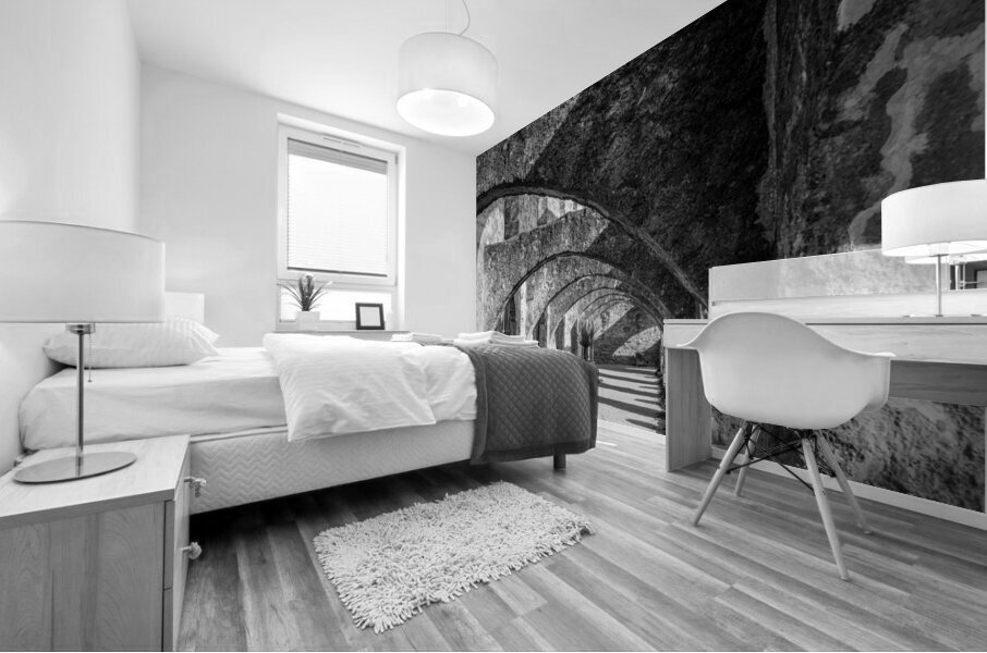 Repeating arches in priest building at Mission San Jose Texas Mural print