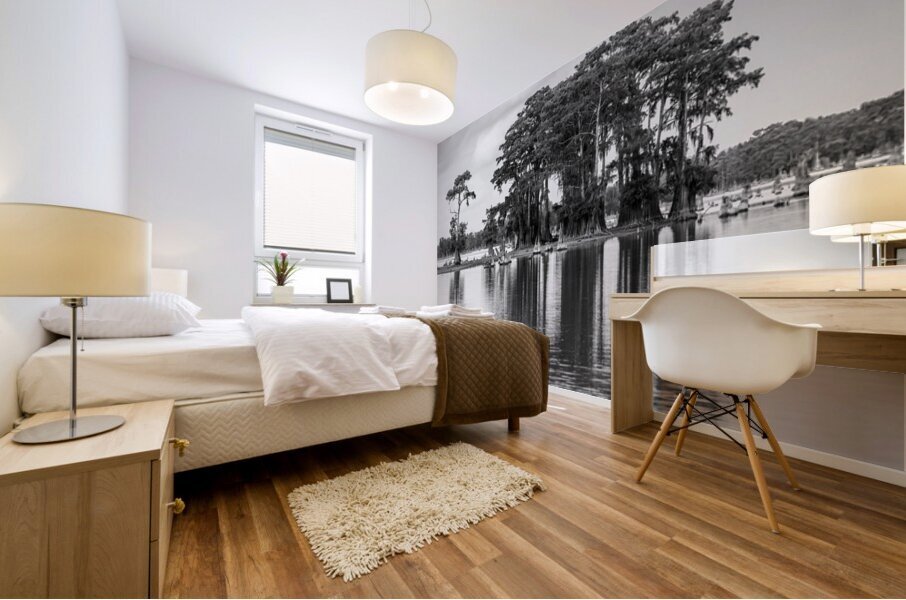 Stand of bald cypress trees rise out of water in Atchafalaya bas Mural print