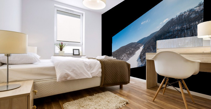 Aerial view up the frozen Cheat River in Morgantown WV Mural print