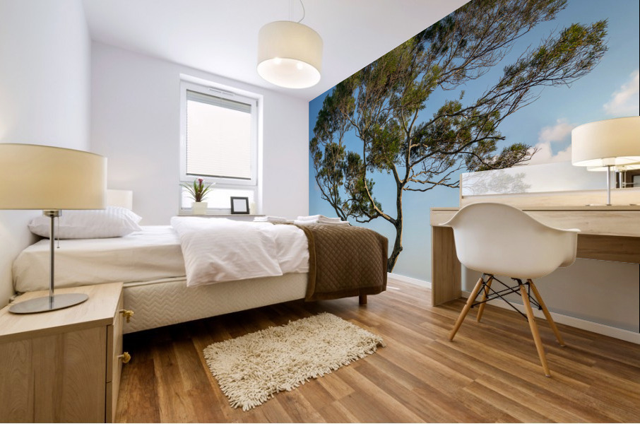 Panorama of Waikiki and Honolulu from Tantalus Overlook on Oahu Mural print