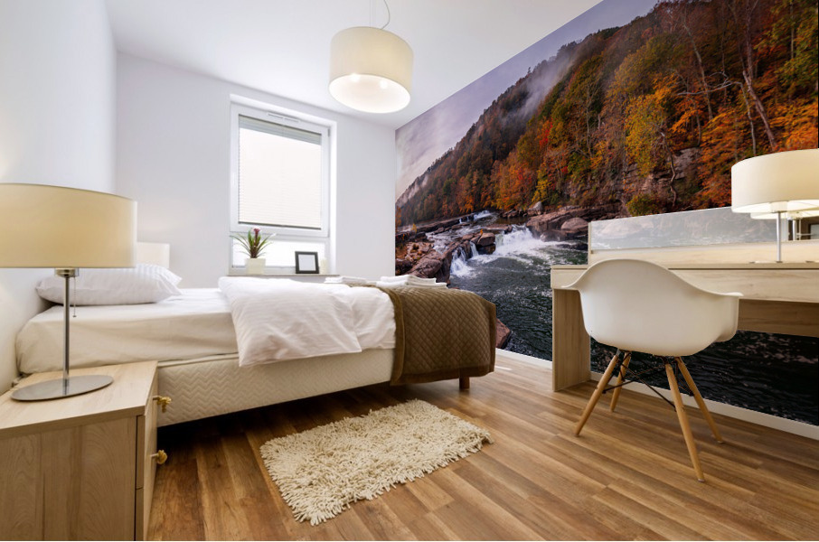 Panoramic Valley Falls on a misty autumn day Mural print