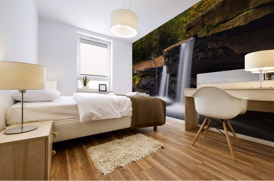 Waterfall on Deckers Creek near Morgantown WV Mural print