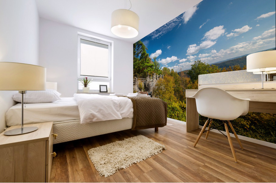 Coopers Rock state park overlook with fall colors Mural print