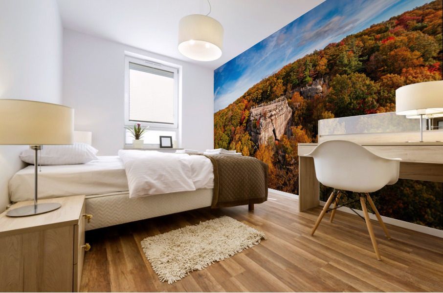 Coopers Rock state park overlook in West Virginia with fall colors Mural print