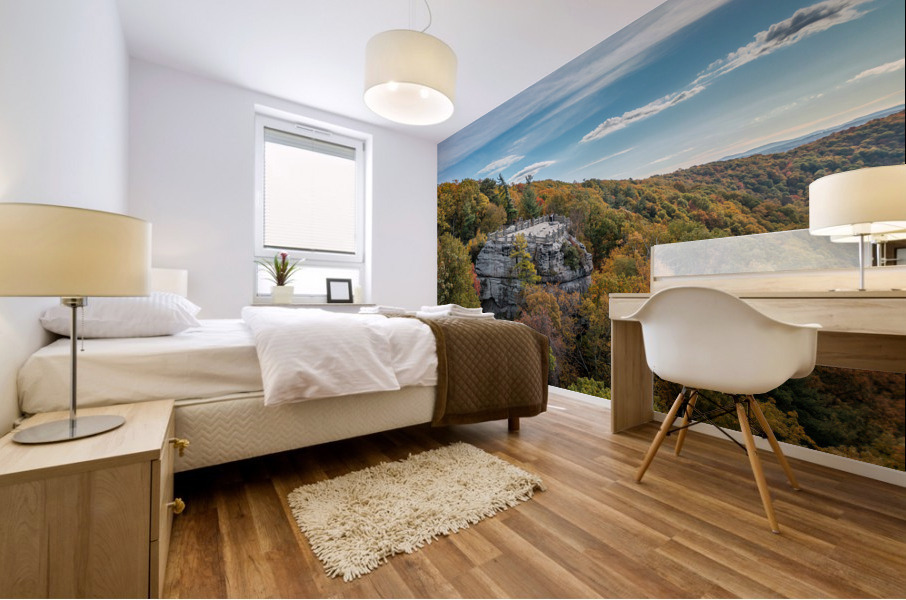 Coopers Rock state park overlook in the fall Mural print