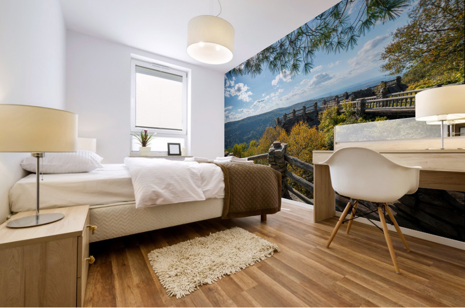 Coopers Rock state park overlook Mural print