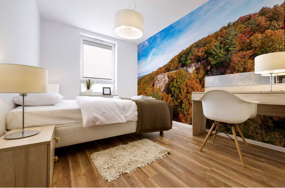 Coopers Rock state park overlook panorama with fall colors Mural print