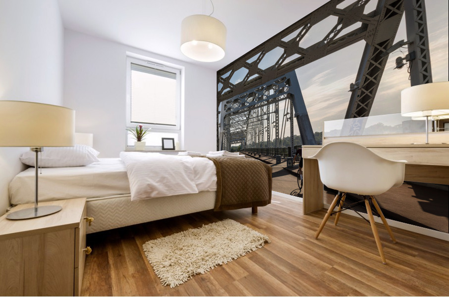 Cyclist on John Seigenthaler pedestrian bridge or Shelby street crossing Mural print