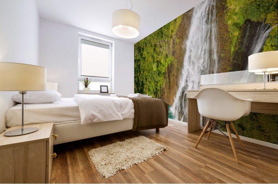 Garden Island of Kauai from helicopter tour Mural print