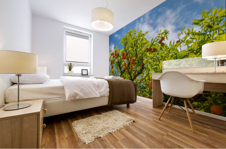 Oranges growing in courtyard of monastery Mural print