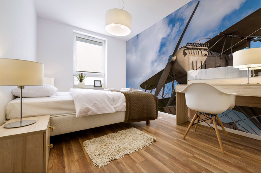 Replica of aircraft used in flight to Brazil Impression murale