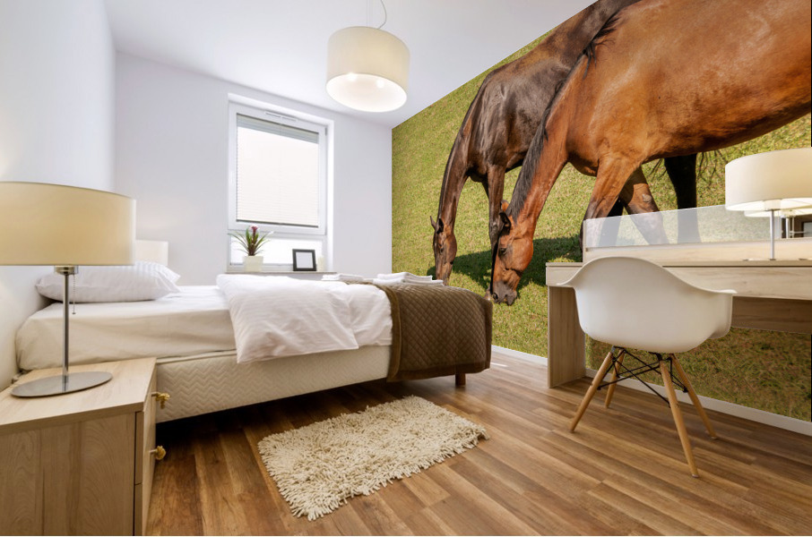 Two brown horses grazing in a meadow Mural print