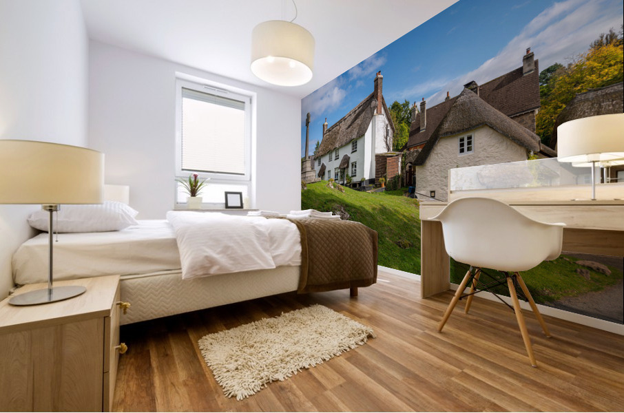 Thatched cottages in Lustleigh in Devon Mural print