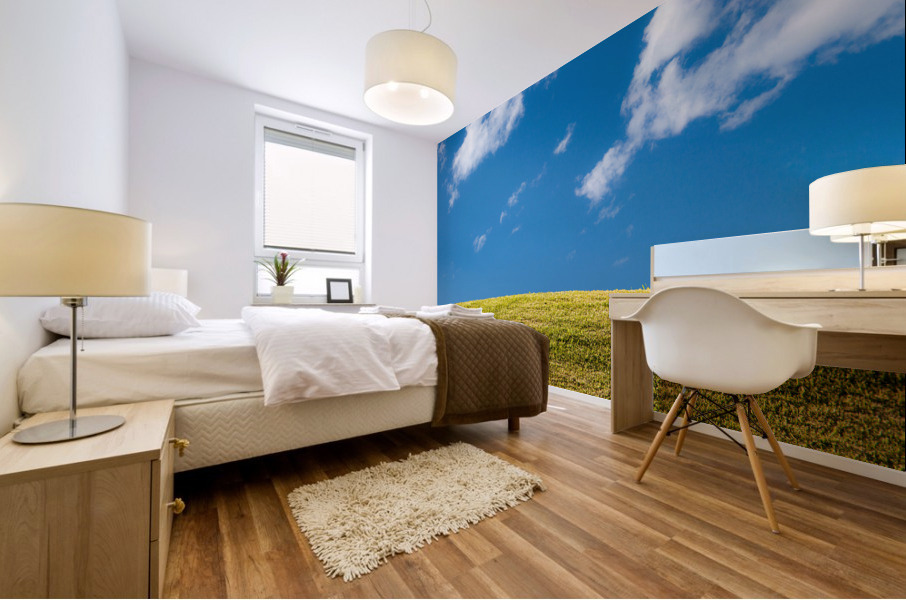 Green grassy lawn with blue sky and clouds Mural print
