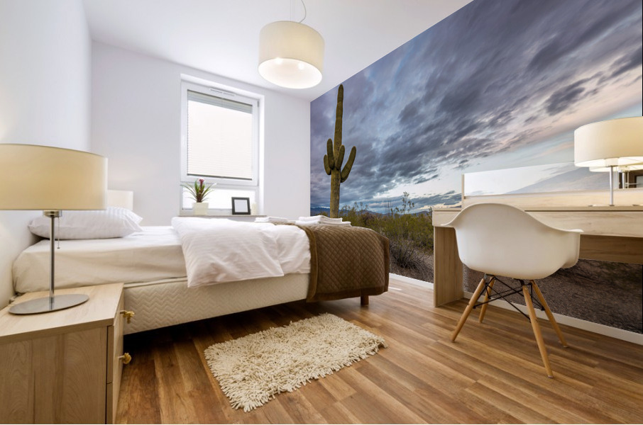 Sunset in Saguaro National Park Tucson Mural print