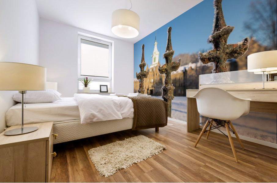 Railings in snow outside Lunatic Asylum Mural print