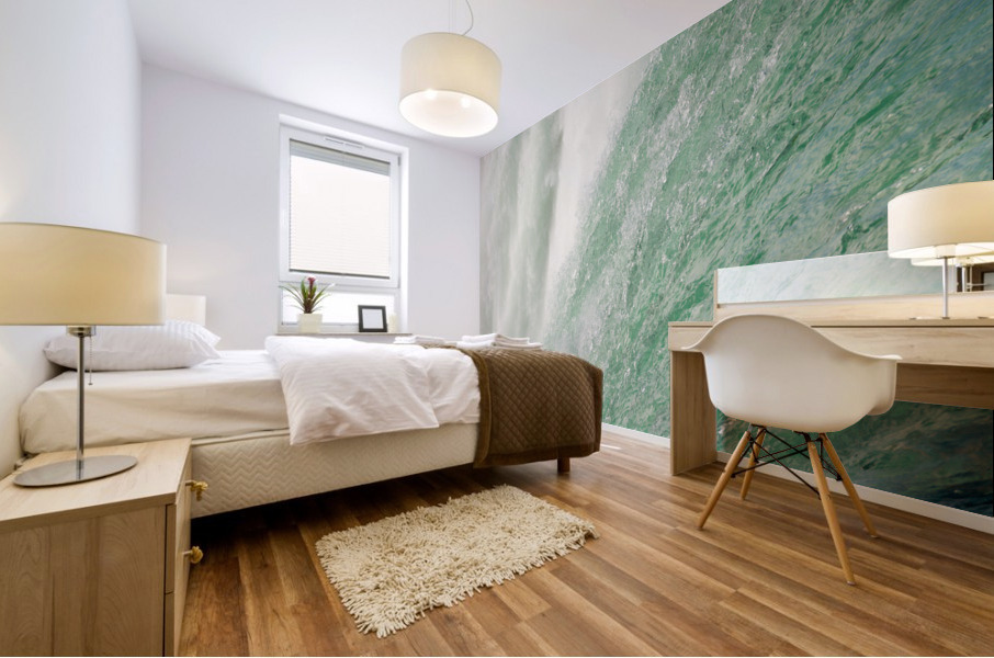 Detail of Canadian Horseshoe Falls at Niagara Mural print