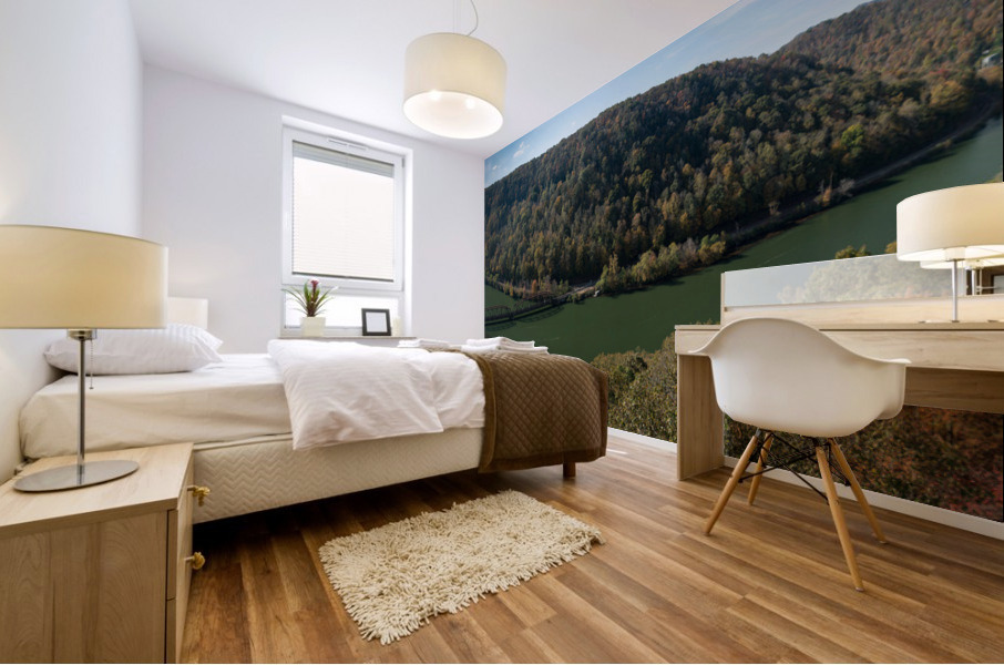 New River from Hawks Nest Overlook Mural print