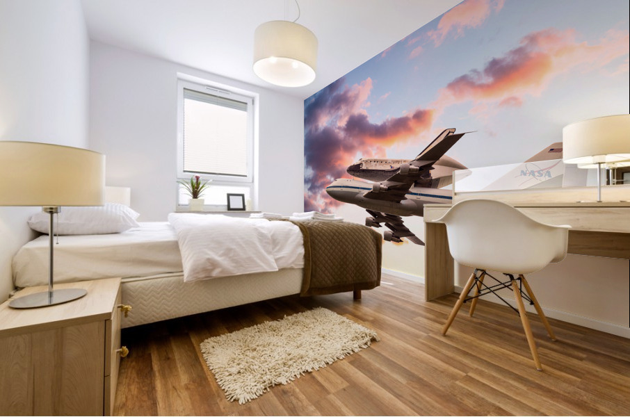 Space Shuttle Discovery flies into retirement Mural print