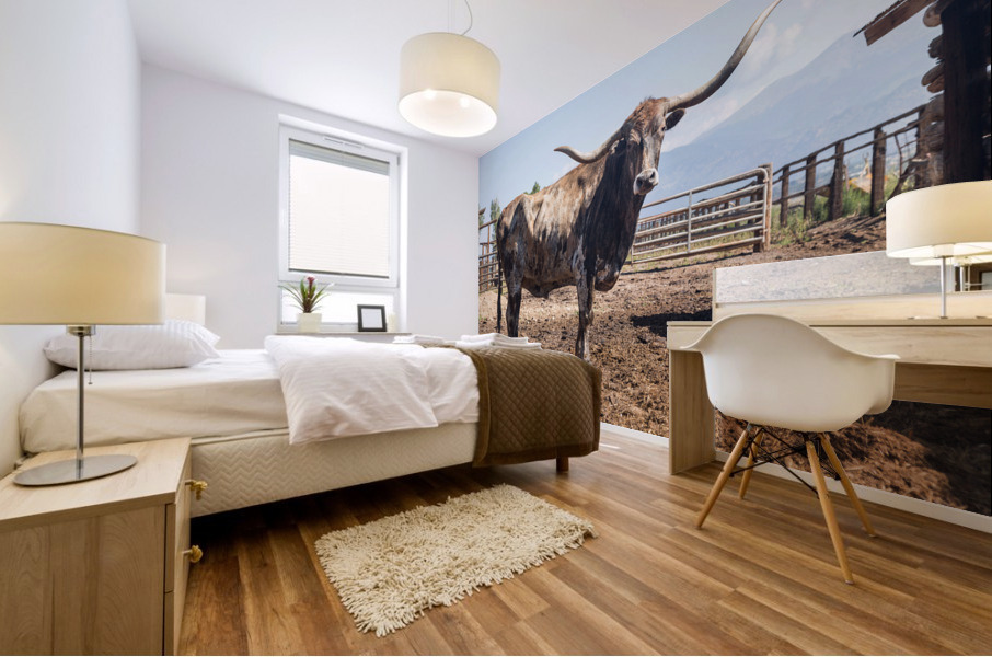 Old Longhorn bull in paddock Mural print
