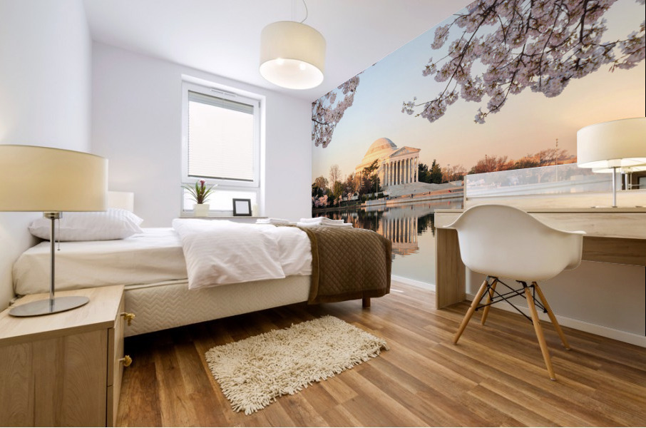 Wide Vista of Beautiful early cherry blossoms Jefferson Memorial Mural print