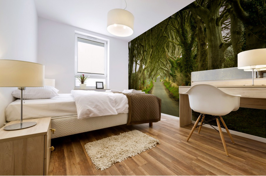 Dark Hedges road through old trees Mural print