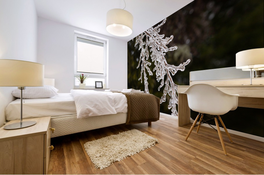 Ice covered branches start to melt to icicles Mural print