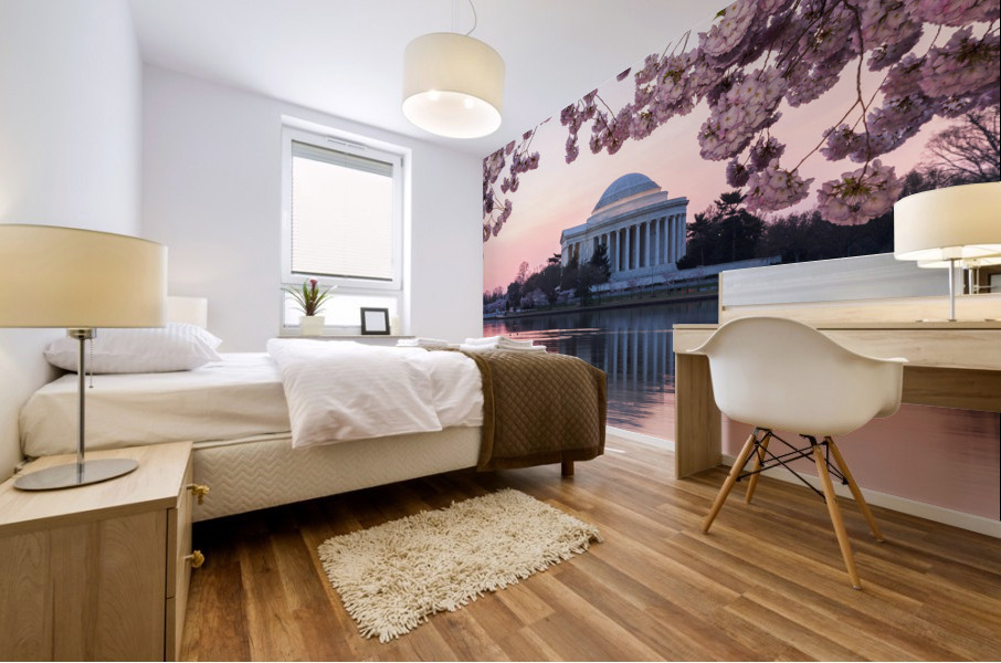 Pink colors of Cherry Blossom and Jefferson Memorial at sunrise Mural print