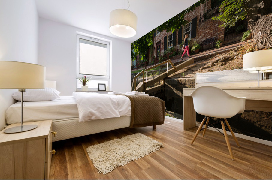 Lock gates on the old canal in Georgetown Washington DC Mural print