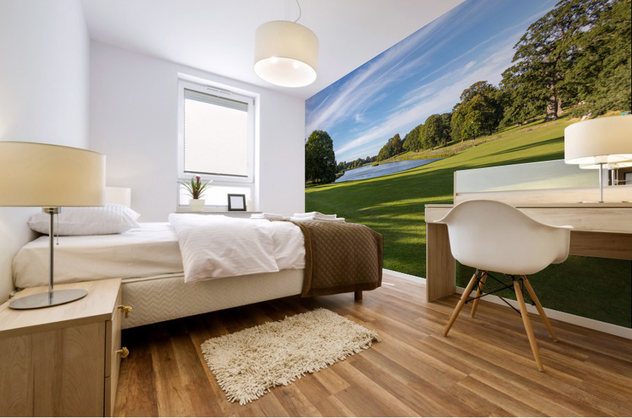 English lawn running down to lake Mural print