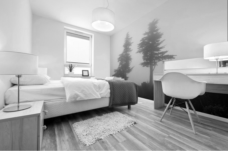 Mist and fog envelop two pine trees Mural print